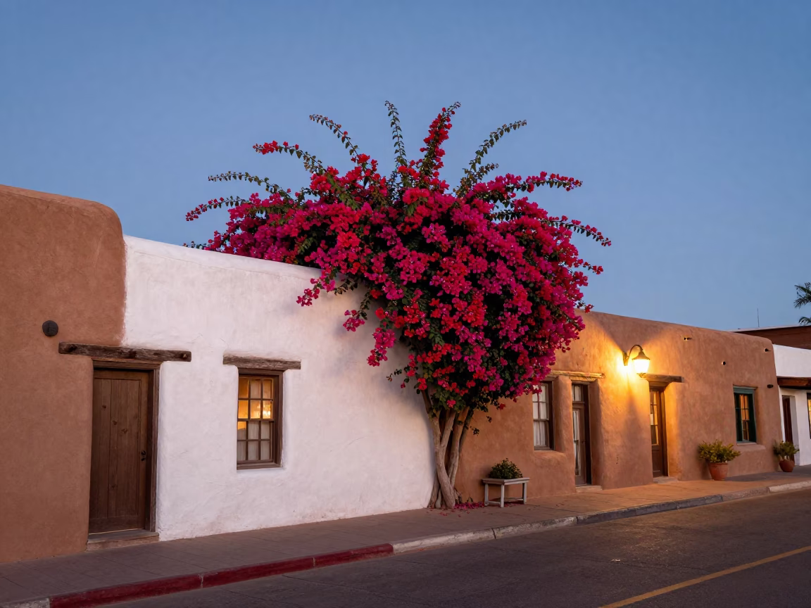 Santa Fe Plaza Evening Street Scene with Bougainvillea and Adobe Architecture in in Santa Fe, New Mexico, United States