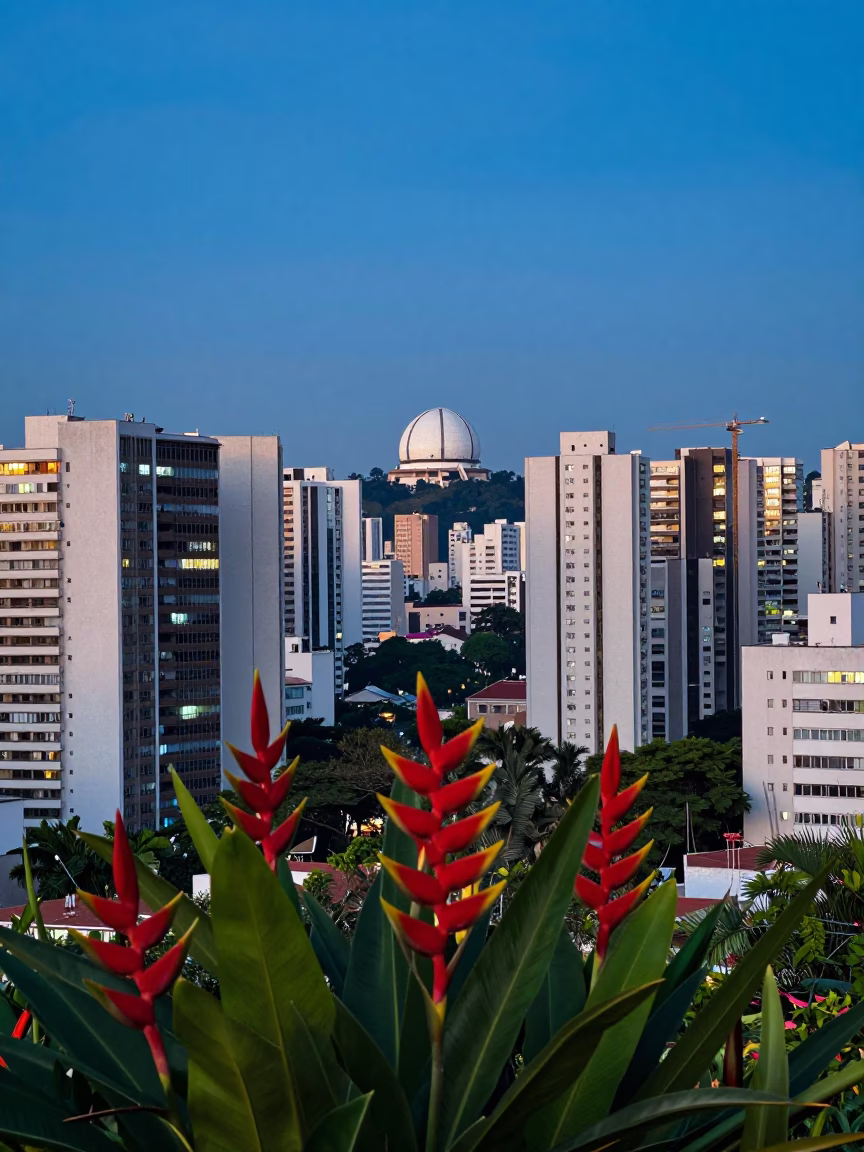 São Paulo Brazil Blue Hour Cityscape with Heliconia Flowers and Distant Observatory Dome in in São Paulo, Brazil
