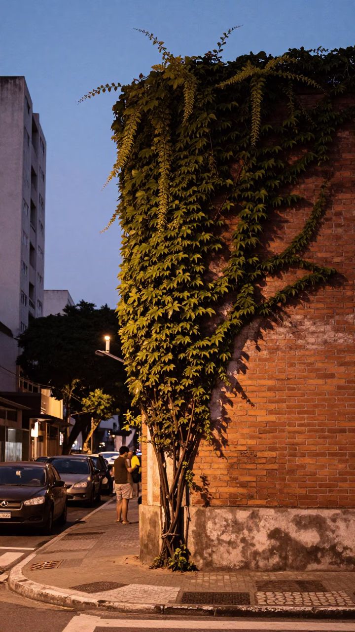 São Paulo Brazil Dusk Street Scene with Ivy Brick Wall and Wall Hook in in São Paulo, Brazil