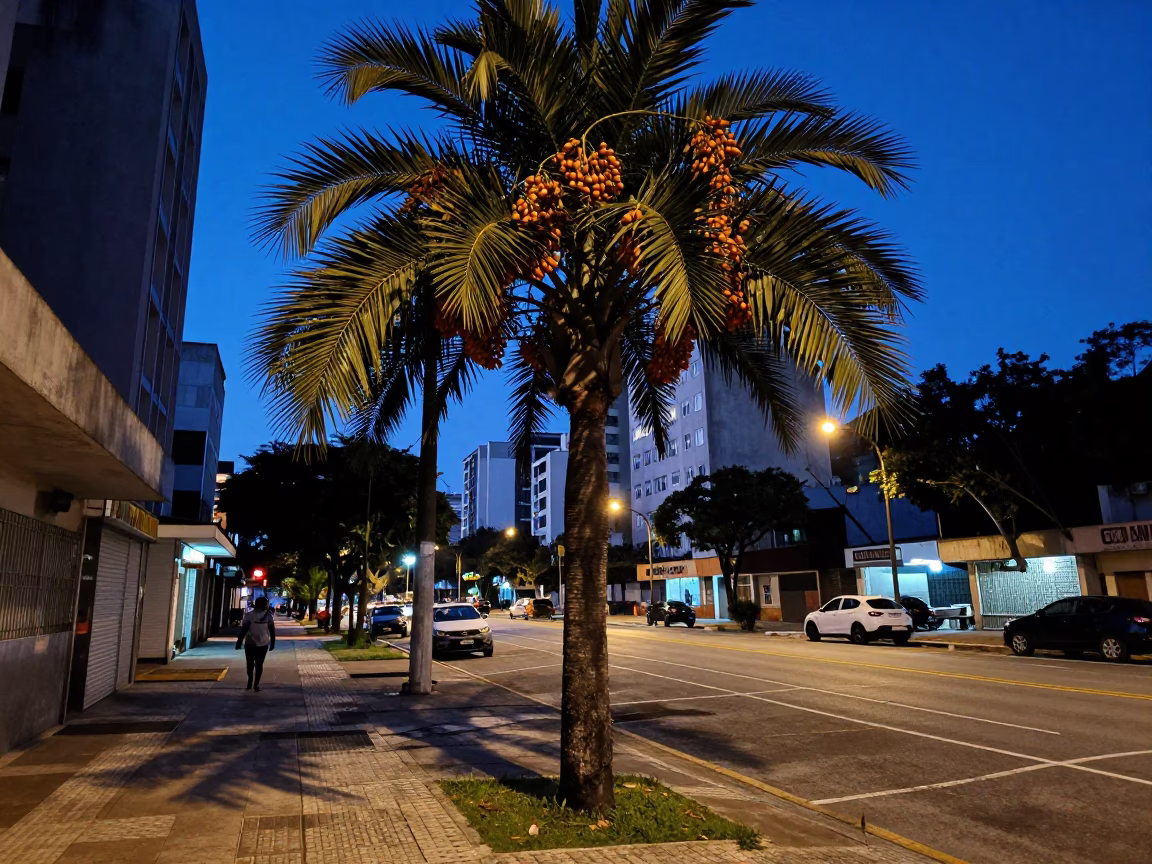 São Paulo Twilight Street Scene with Date Palm and Urban Architecture in in São Paulo, Brazil