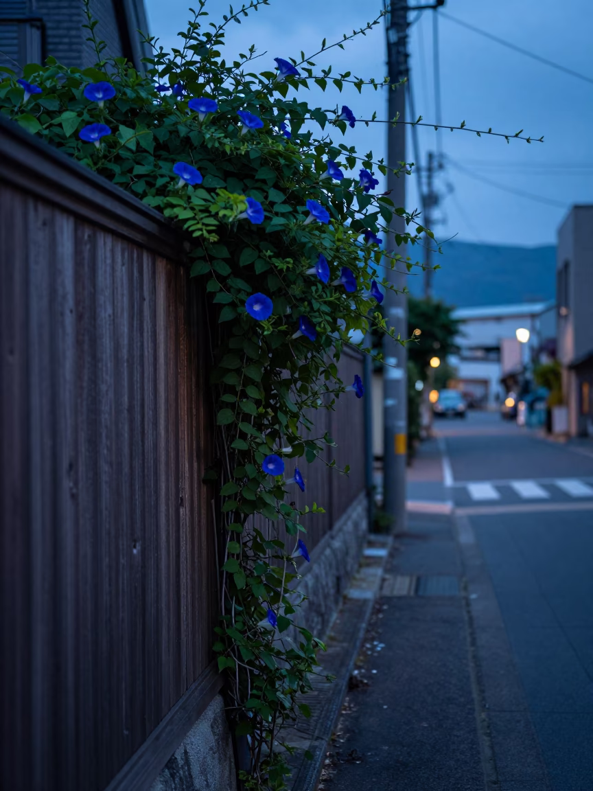 Sapporo Japan Early Dawn Street Scene with Morning Glory Vine and Steam in in Sapporo, Japan
