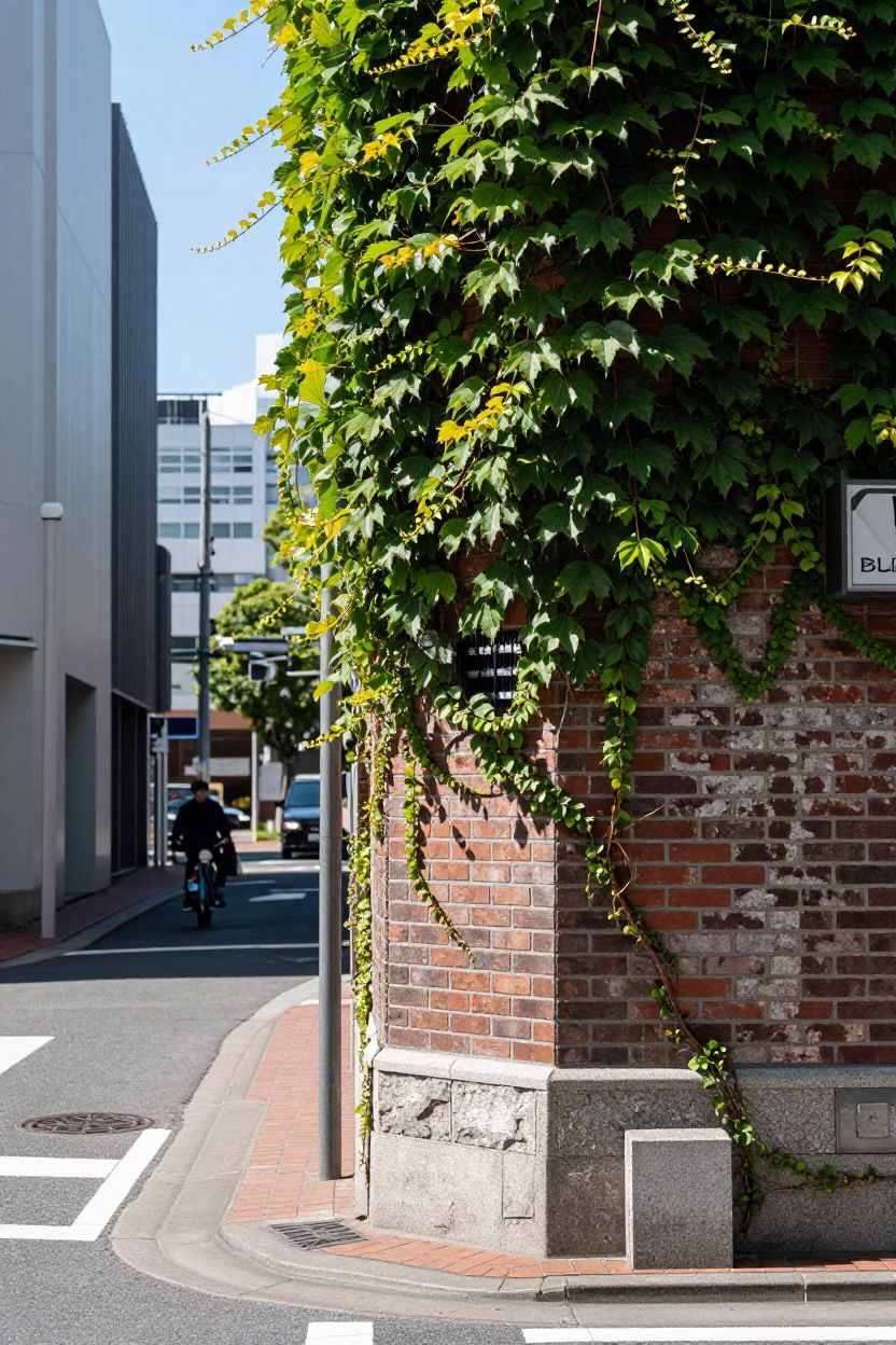 Sapporo Japan Noon Street Scene with Ivy Brick Wall and Tool Caddies in in Sapporo, Japan