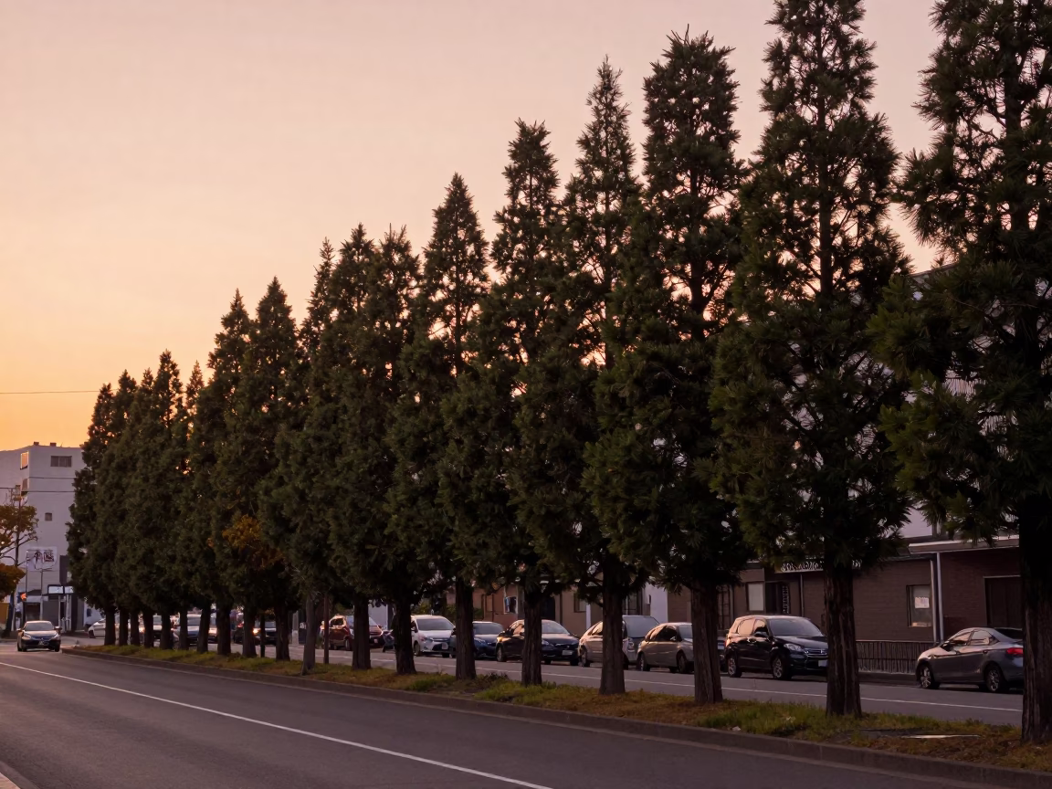 Sapporo Street Scene Before Dusk with Cypress Trees and Steel Wall in in Sapporo, Japan