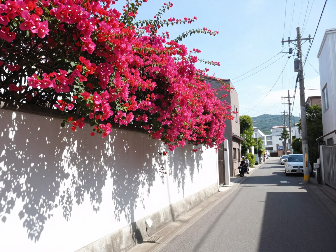 Sapporo street scene under flat noon glare with bougainvillea and urban details in in Sapporo, Japan