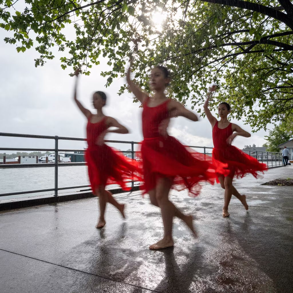 Scarlet Dancer Brushstrokes Harbor Edge in at a harbor edge in Mississauga