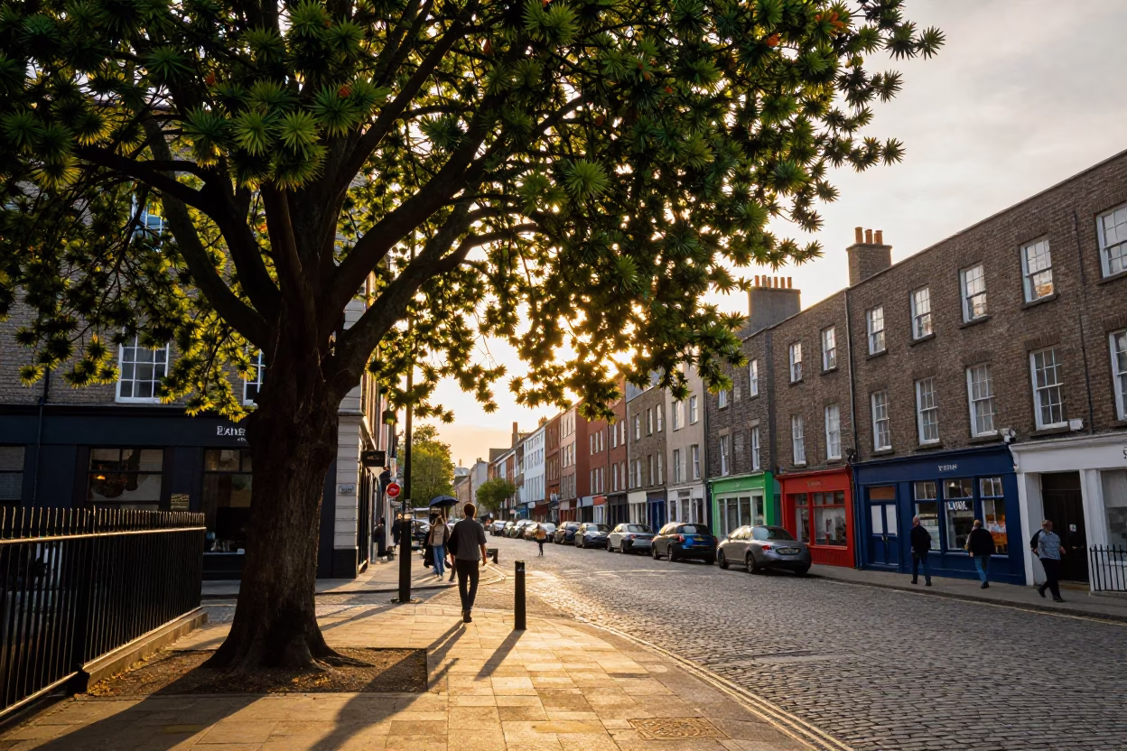 Scene 1950s at Golden Hour in Dublin in in Dublin, Ireland