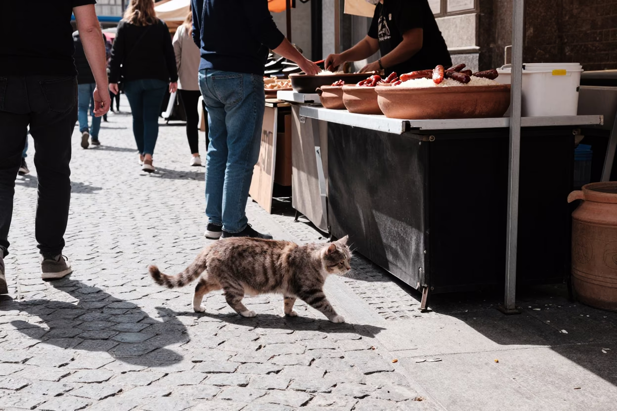 Scene Midday in Bilbao at Midday Light in in Bilbao, Spain