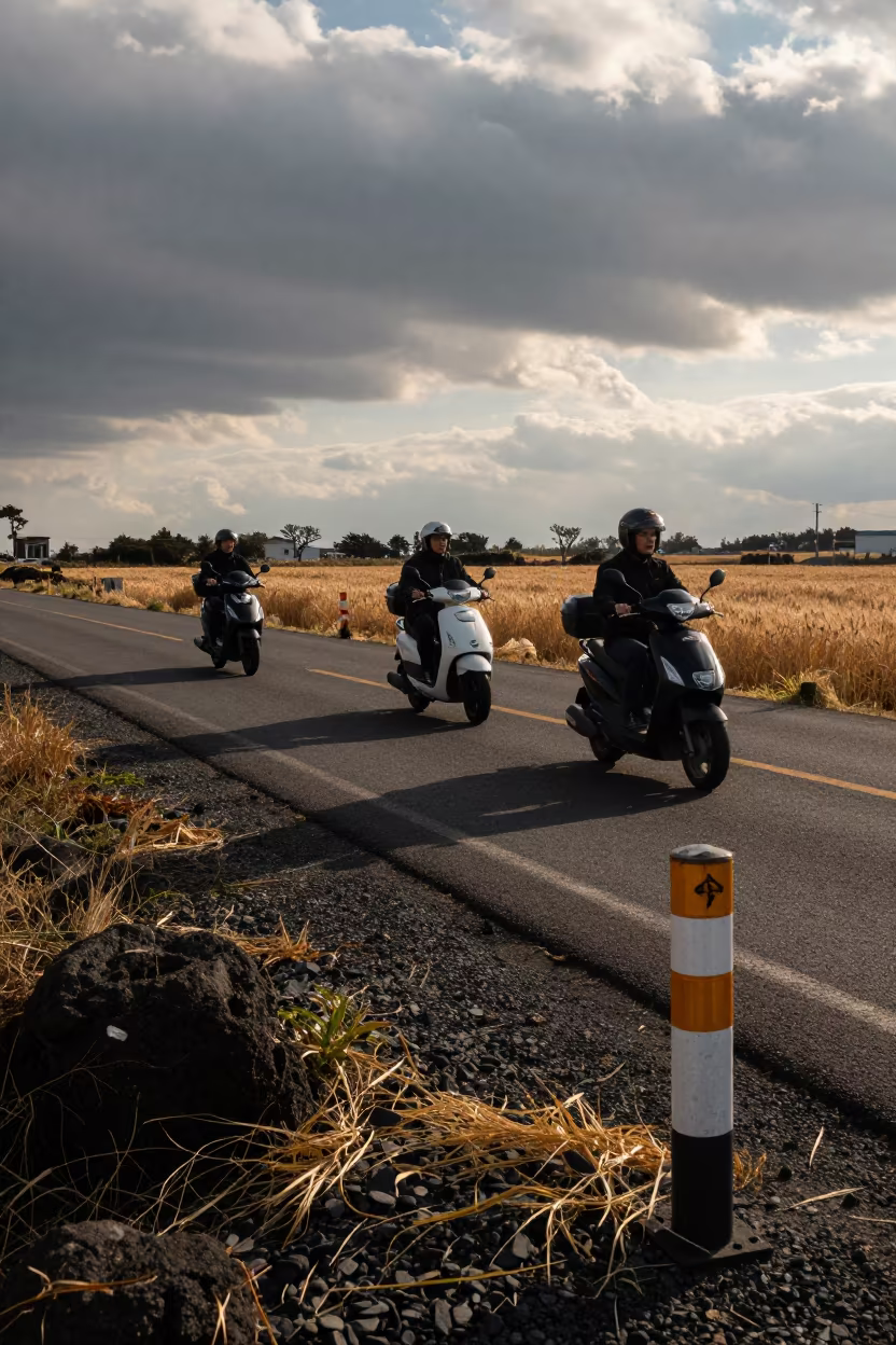 Scooter convoy crosses Jeju wheat fields in golden hour light in on a wind-open road cut near Jeju
