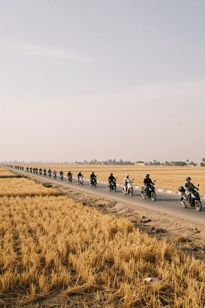 Scooter convoy crossing Egyptian wheat fields winter in on a wind-open causeway in Egypt