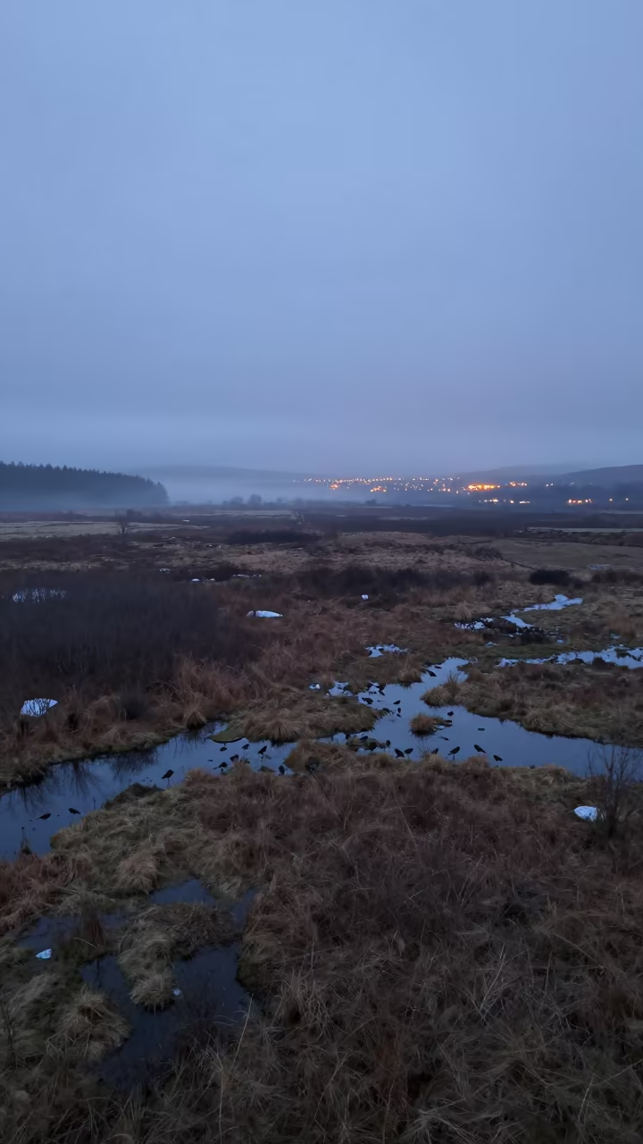 Scottish Floodplain Mist in Blue Hour Twilight in across a floodplain after rain in Scotland