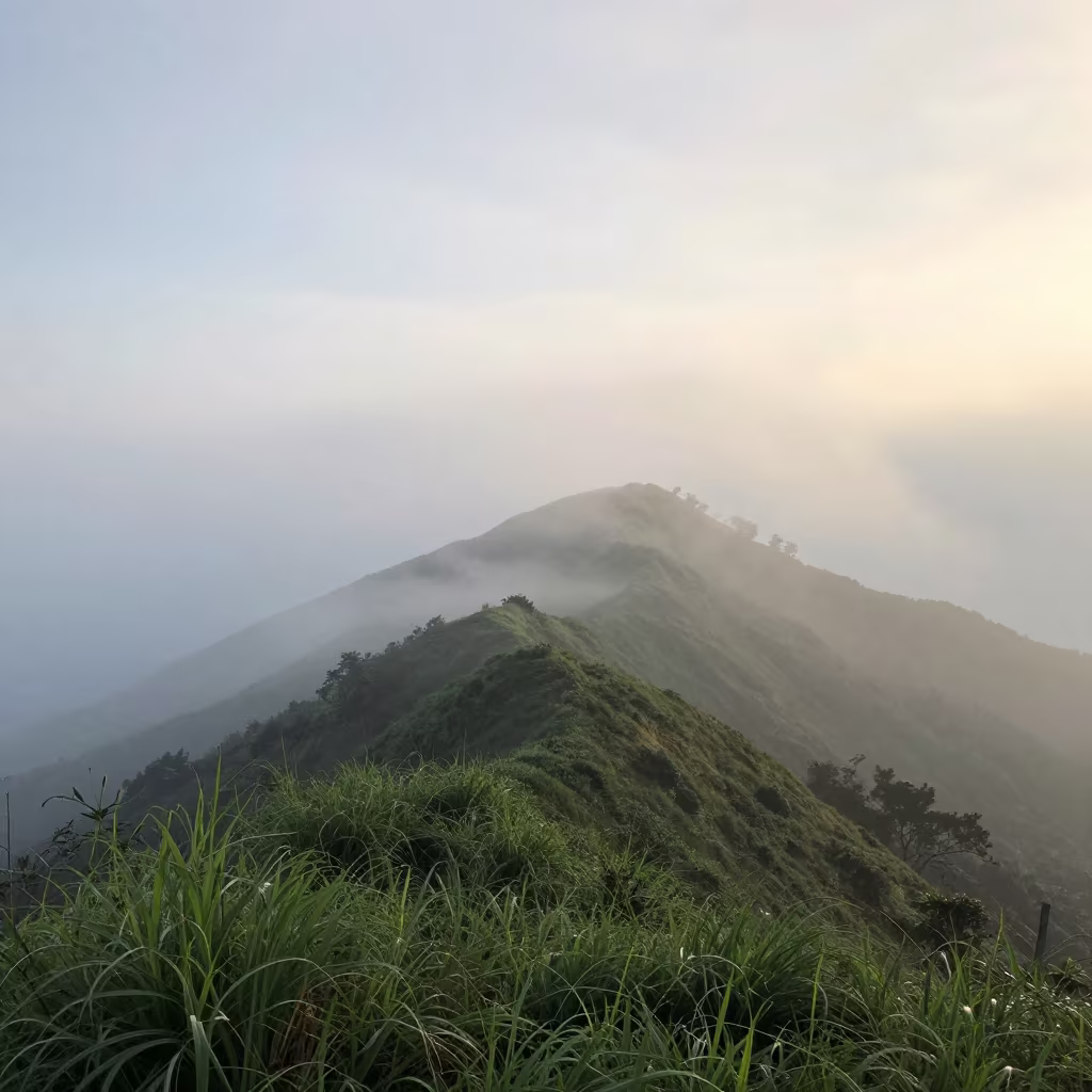 Sea Fog Drifting Over Mountain Ridge at Dawn in near Porto