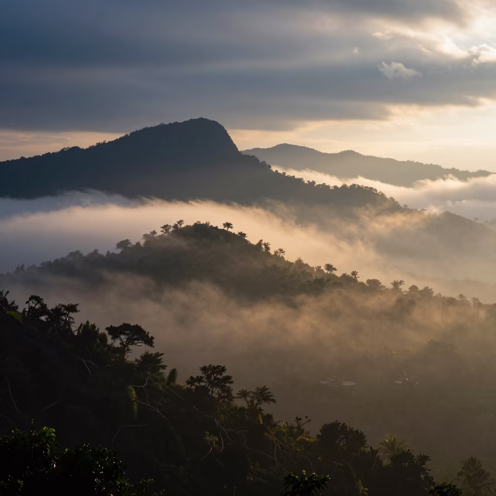 Sea Fog Over Thai Mountain Ridge at Dawn in in Thailand