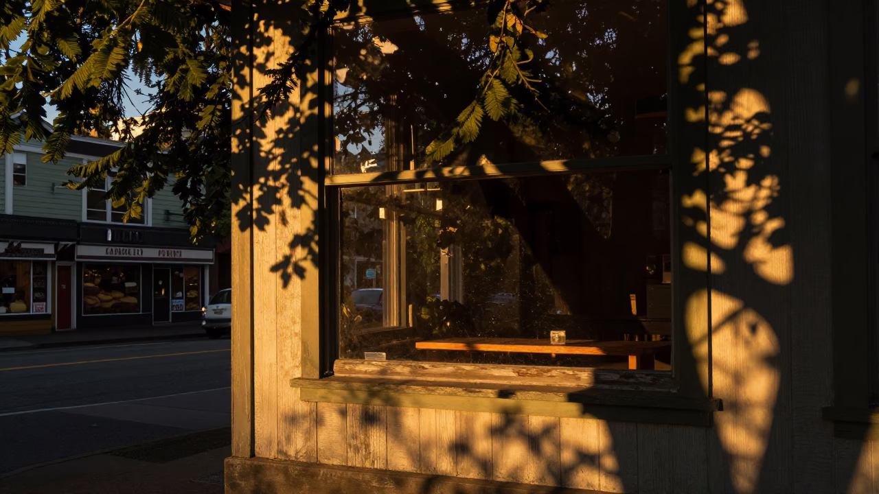 Seattle Evening Street Scene with Leaf Shadows and Local Coffee Culture in in Seattle, Washington, United States