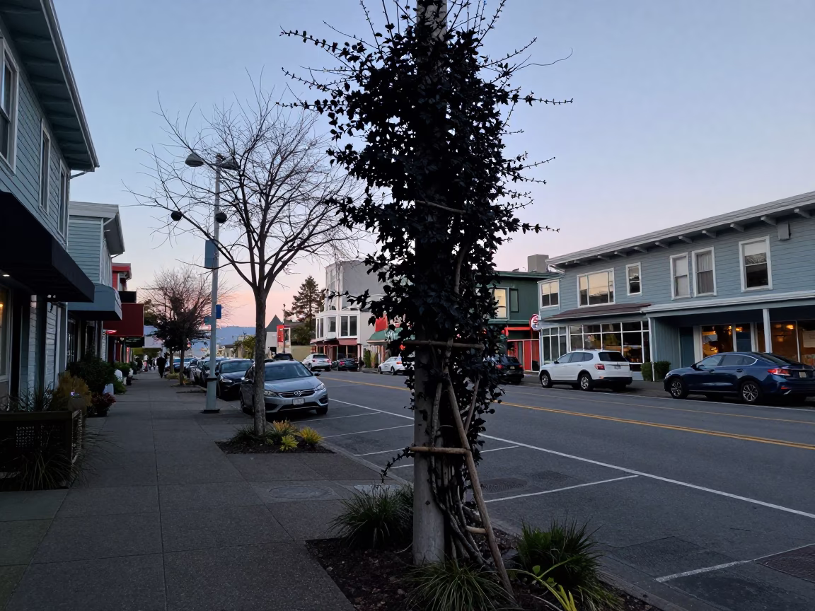 Seattle Nautical Dawn Street Scene with Black Pepper Vine and Urban Details in in Seattle, Washington, United States