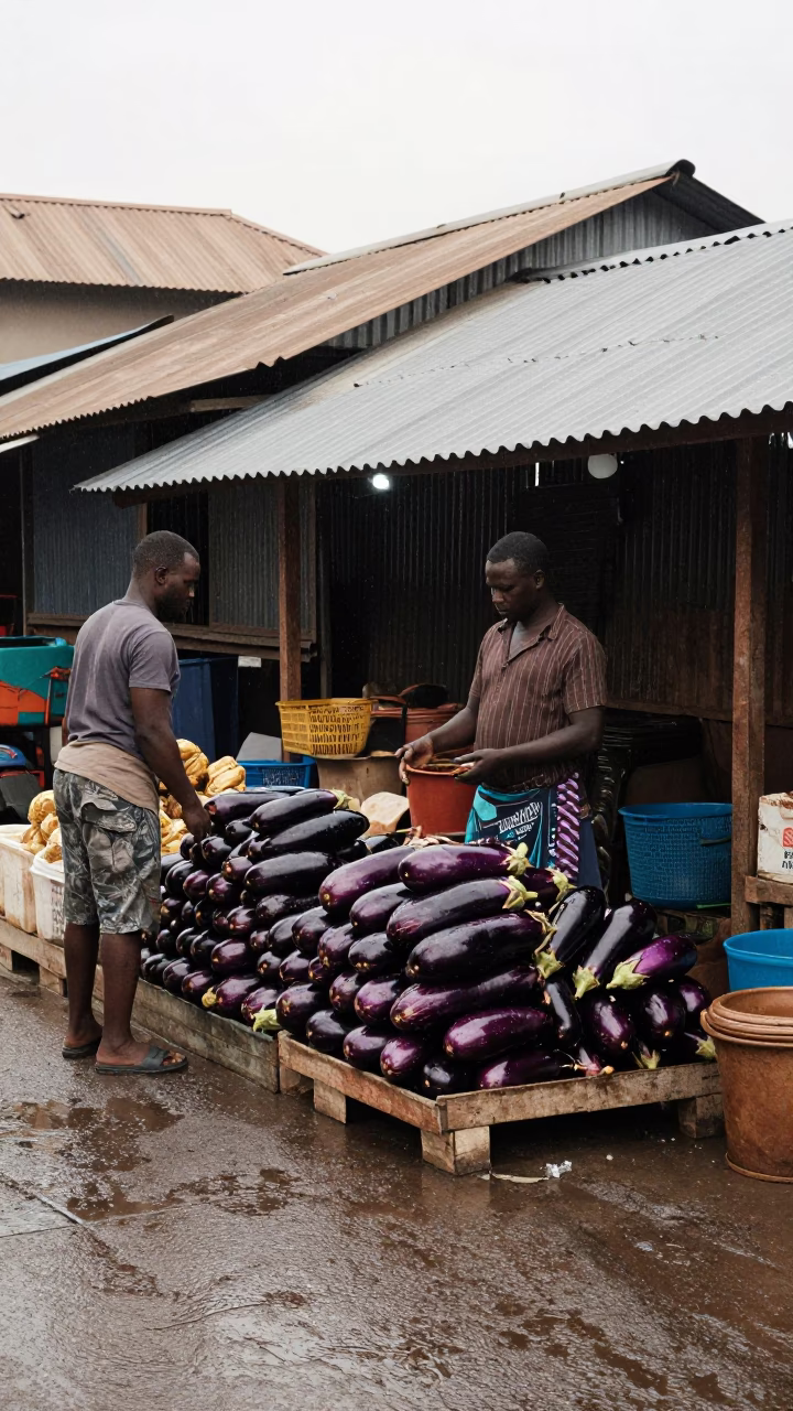 Selling Eggplants in Accra in in Accra, Ghana