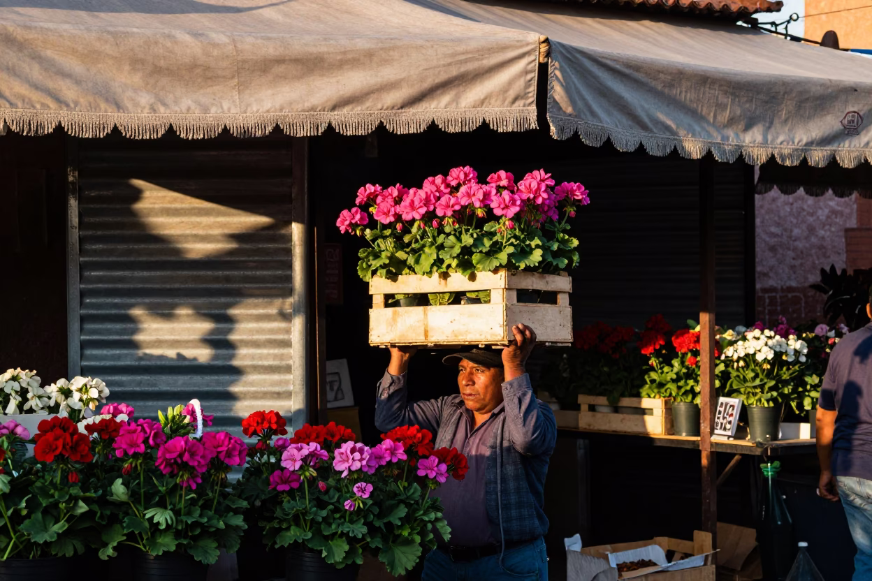 Selling Flowers in Guadalajara in in Guadalajara, Mexico