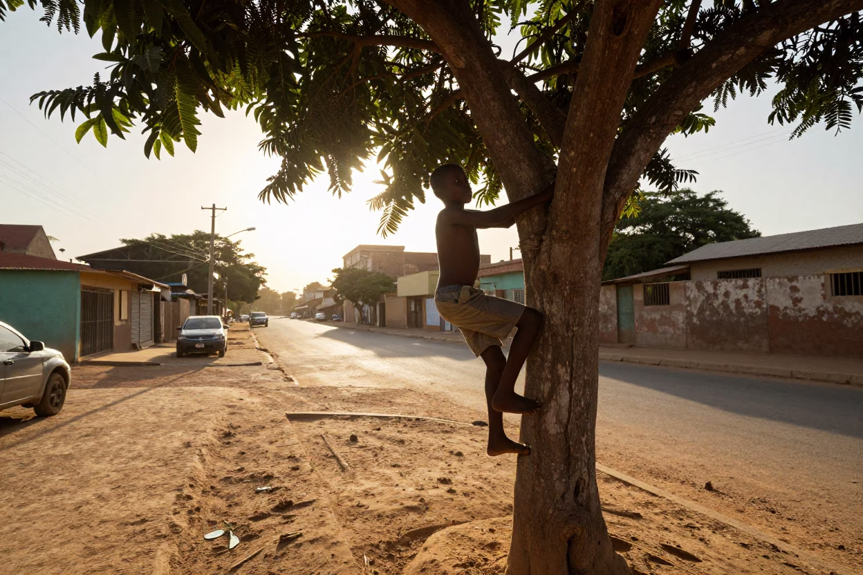Senegalese boy climbing mango tree in Dakar street as sun sets in in Dakar, Senegal