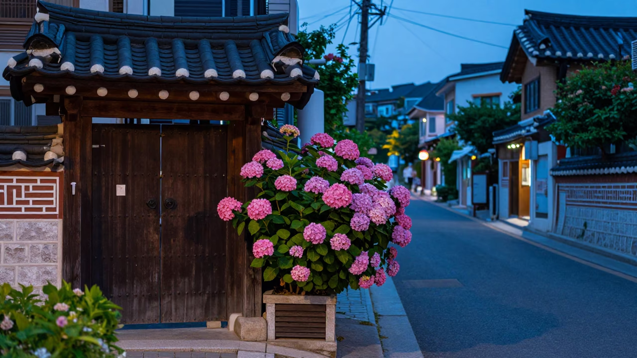 Seoul Evening Twilight Street Scene with Hydrangea Bush and Urban Architecture in in Seoul, South Korea
