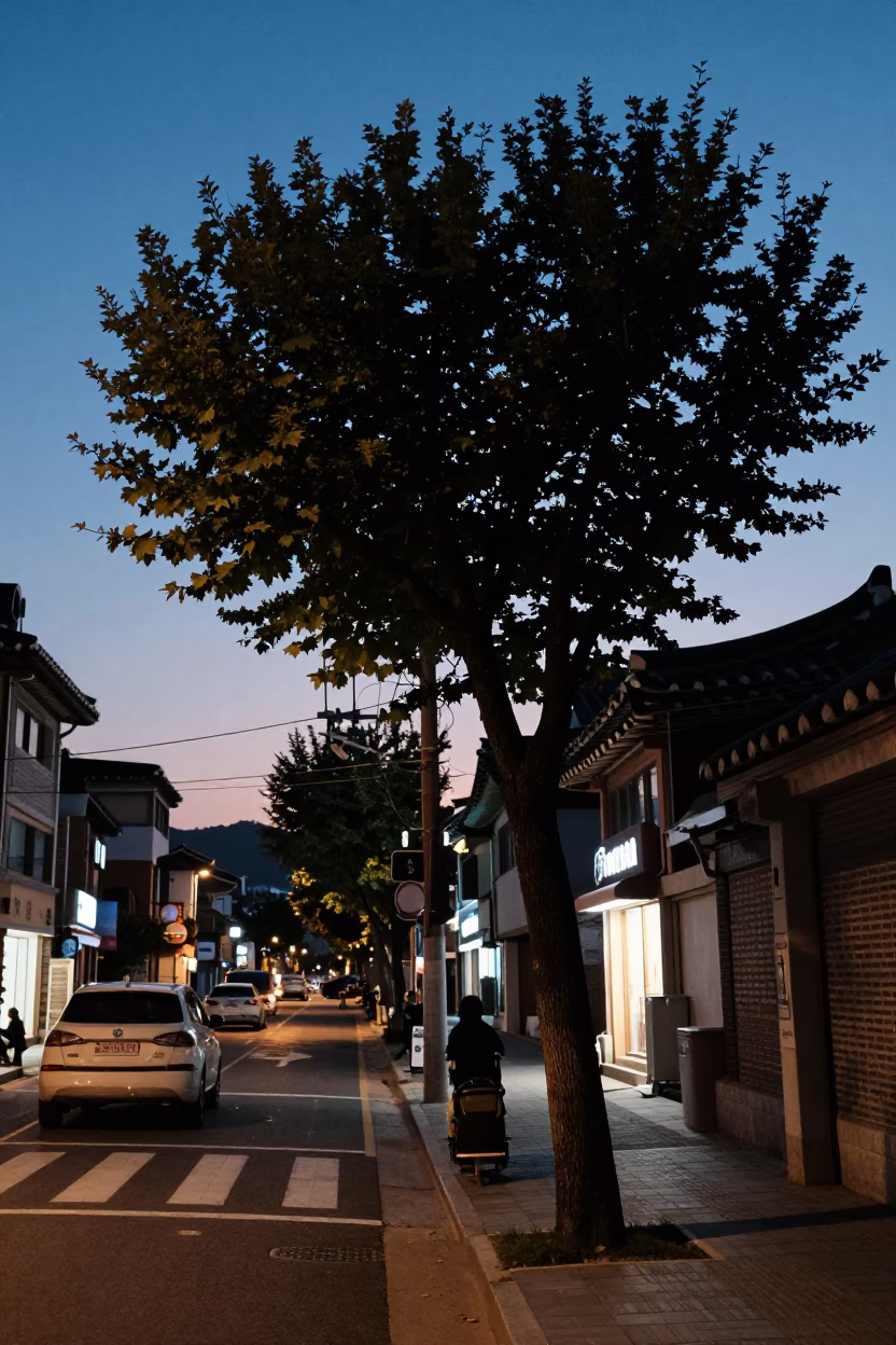 Seoul South Korea Twilight Street Scene with Tree and Catenary System in in Seoul, South Korea
