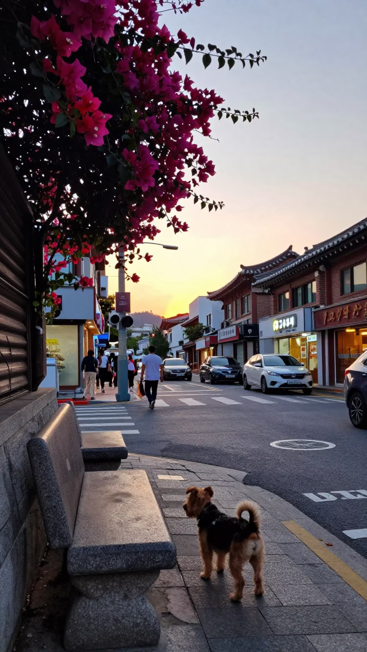 Seoul Street Scene at Dusk with Bougainvillea and Soft Coated Wheaten Terrier in in Seoul, South Korea