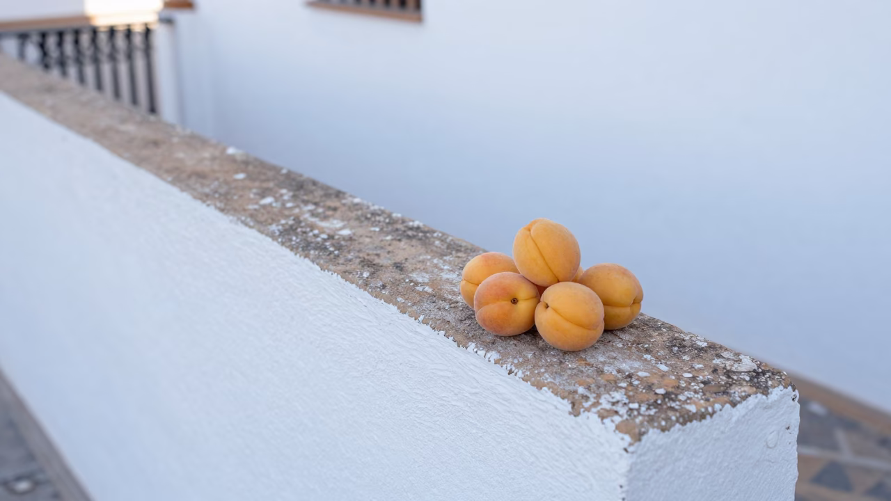 Seville Pale Yellow Apricots in in Seville, Spain