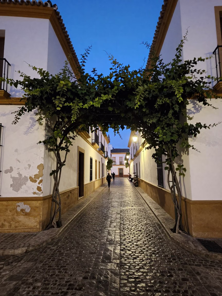 Seville Spain blue hour street scene with vine-covered archway and wet cobblestones in in Seville, Spain