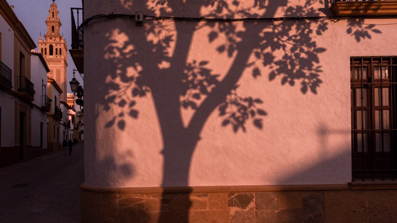 Seville Spain Dusk Street Scene with Leaf Shadows and Local Architecture in in Seville, Spain