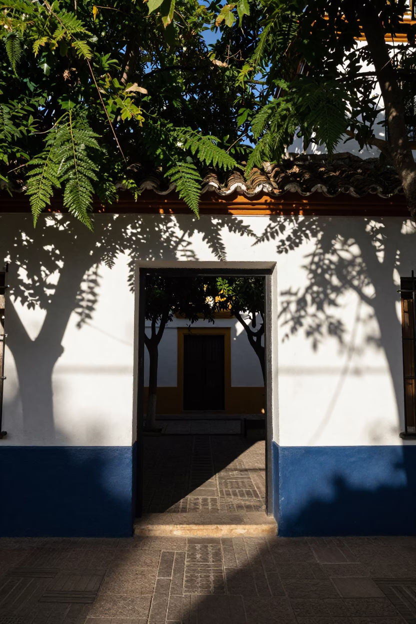 Seville Spain Early Morning Street Scene with Leaf Shadows and Local Interaction in in Seville, Spain