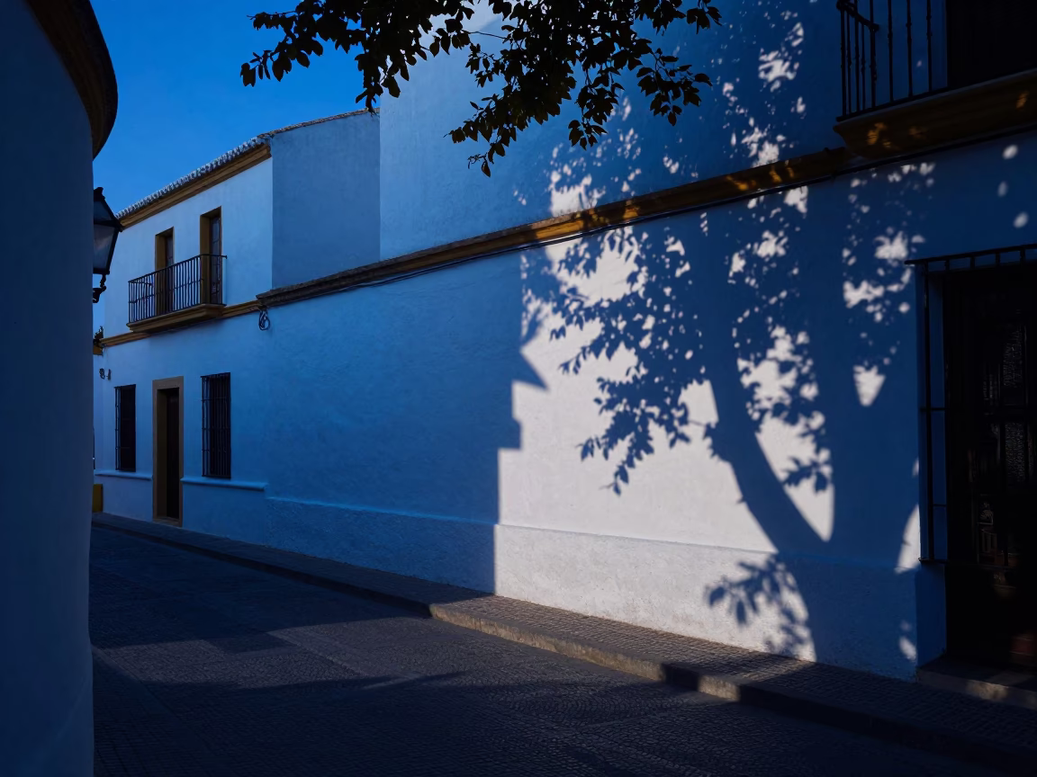 Seville Spain Twilight Street Scene with Leaf Shadows and Linen Curtains in in Seville, Spain