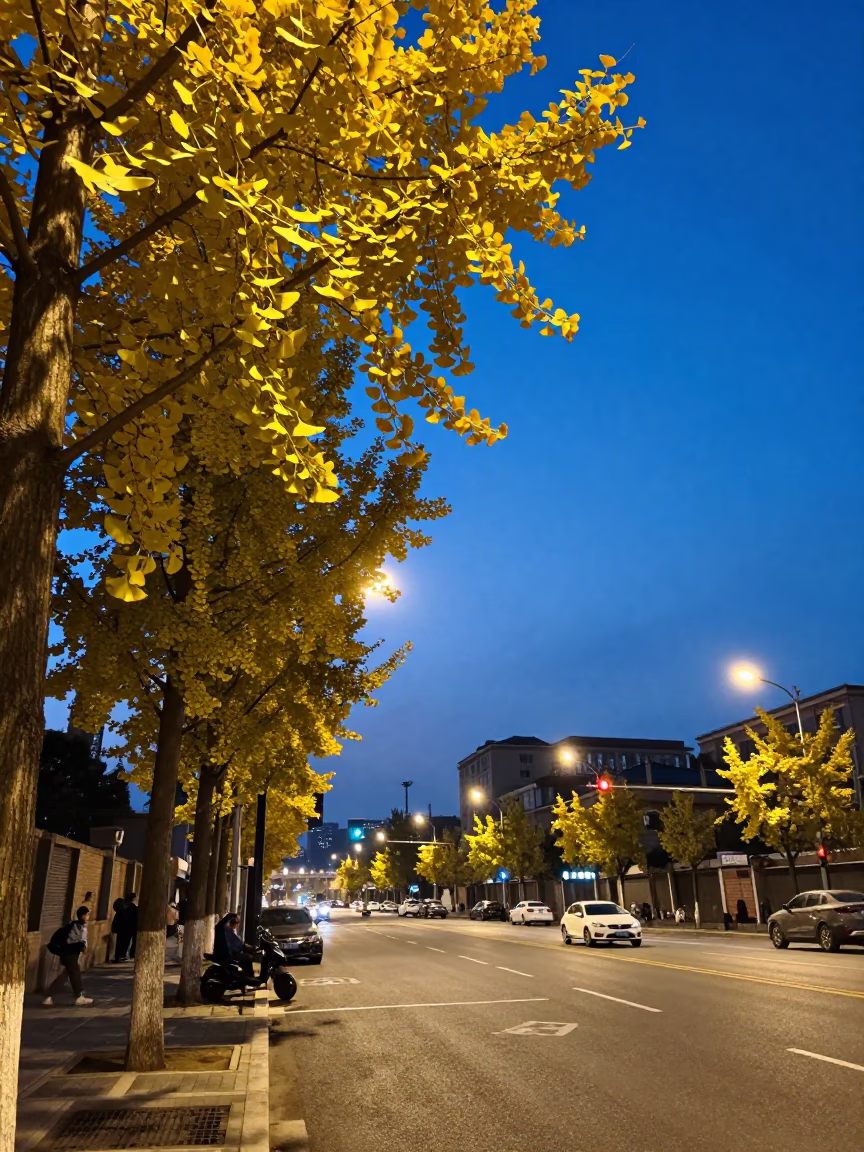 Shanghai Blue Hour Street Scene with Ginkgo Leaves and Urban Life in in Shanghai, China