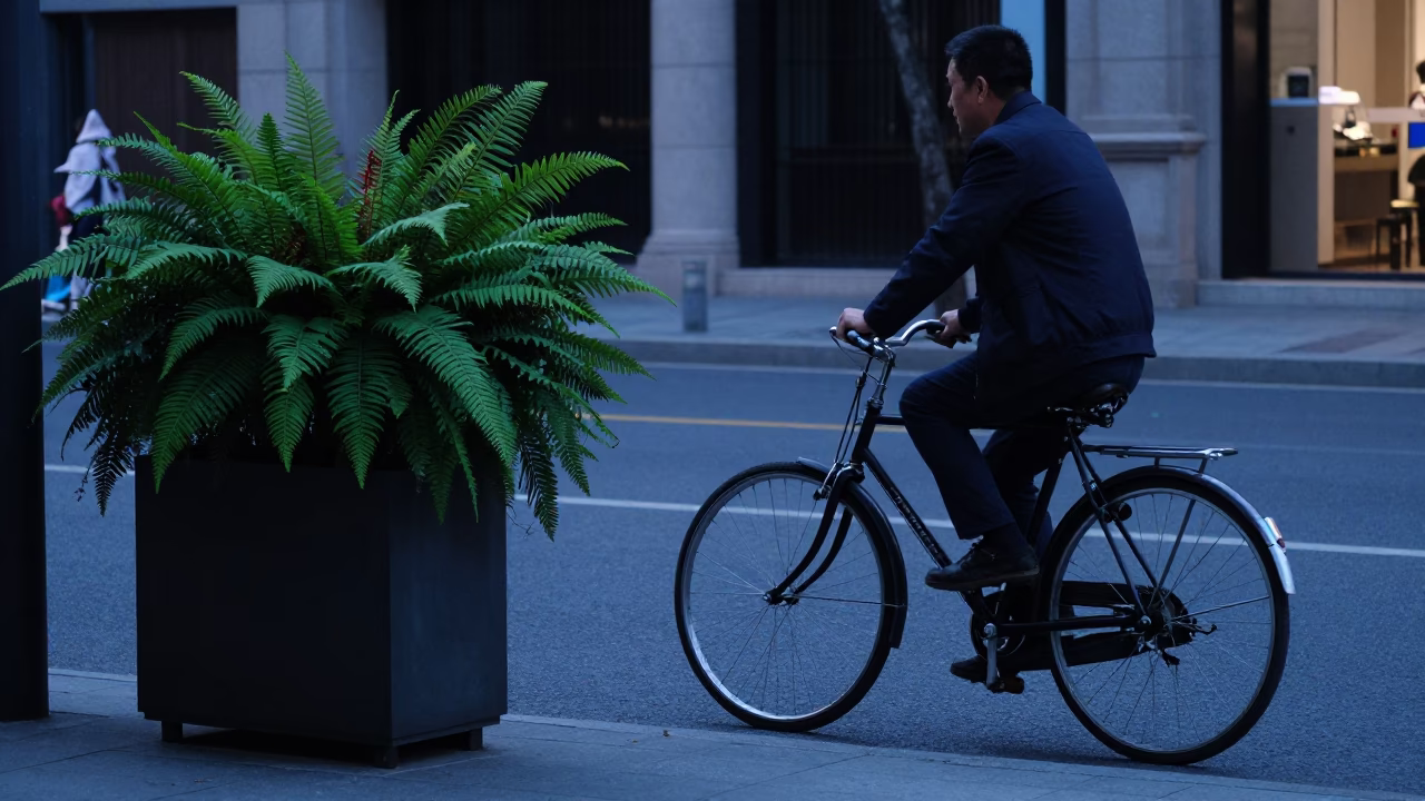 Shanghai Evening Street Scene with Bicycle and Ferns in Blue Hour Light in in Shanghai, China