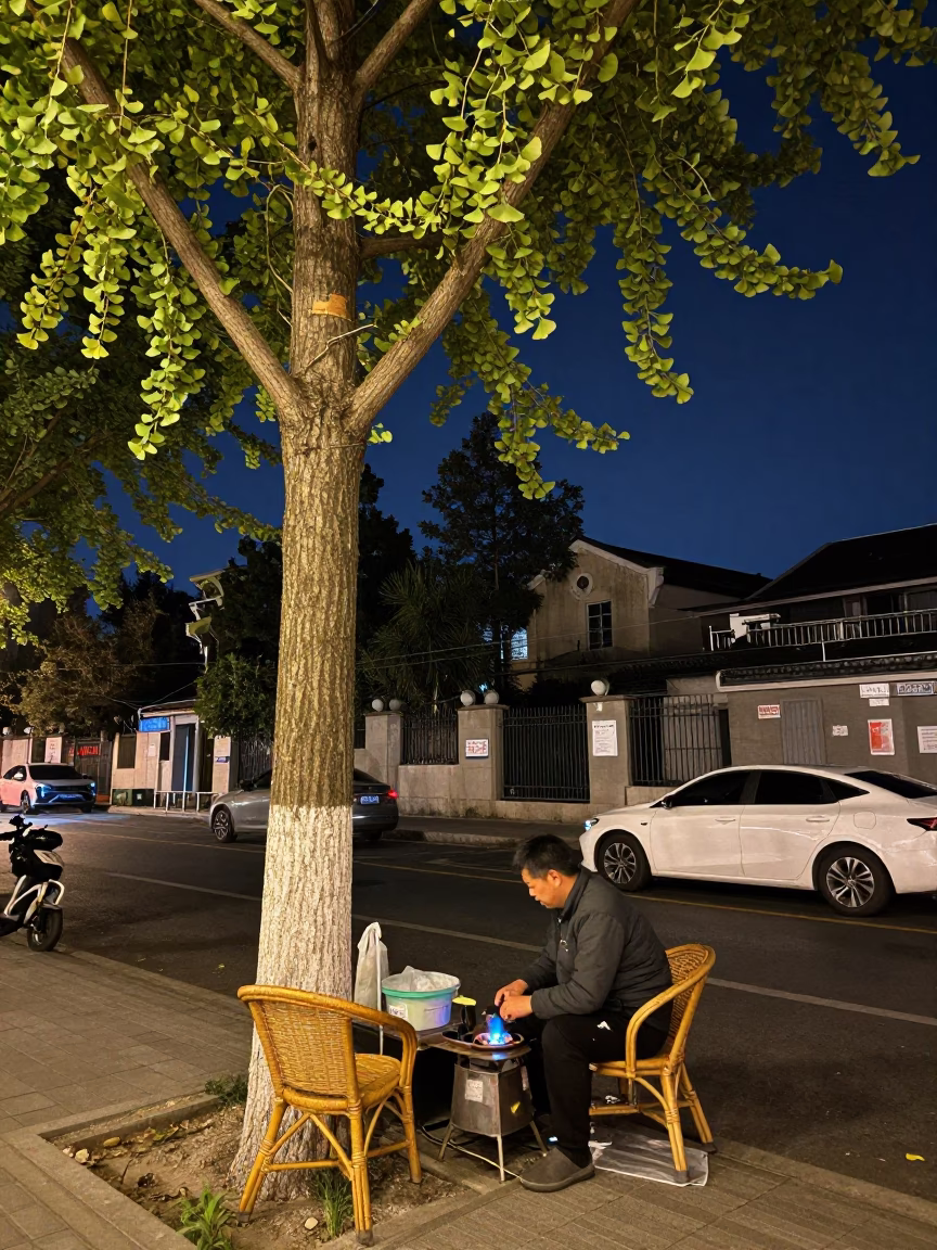Shanghai Street Night Scene with Ginkgo Tree and Rattan Chair in in Shanghai, China