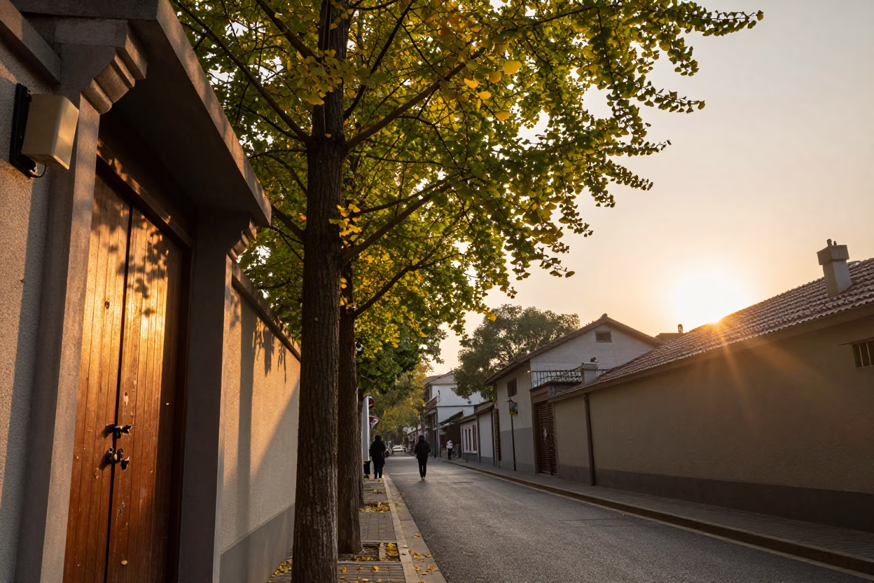 Shanghai Street Scene at Sunset with Ginkgo Leaves and Traditional Latch in in Shanghai, China