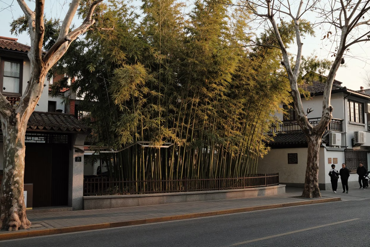 Shanghai street scene with bamboo forest and traditional Chinese architecture in honeyed evening light in in Shanghai, China