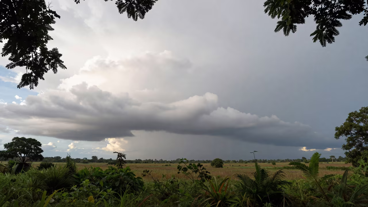 Shelf Cloud Over Sokodé Stormy Monsoon Plain in across a storm-bright plain near Sokodé