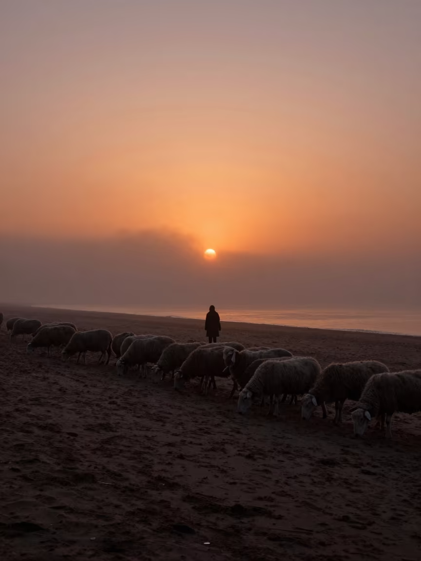 Shepherd Silhouette Counting Sheep on Misty Beach at Sunset in along a beach near Lodz