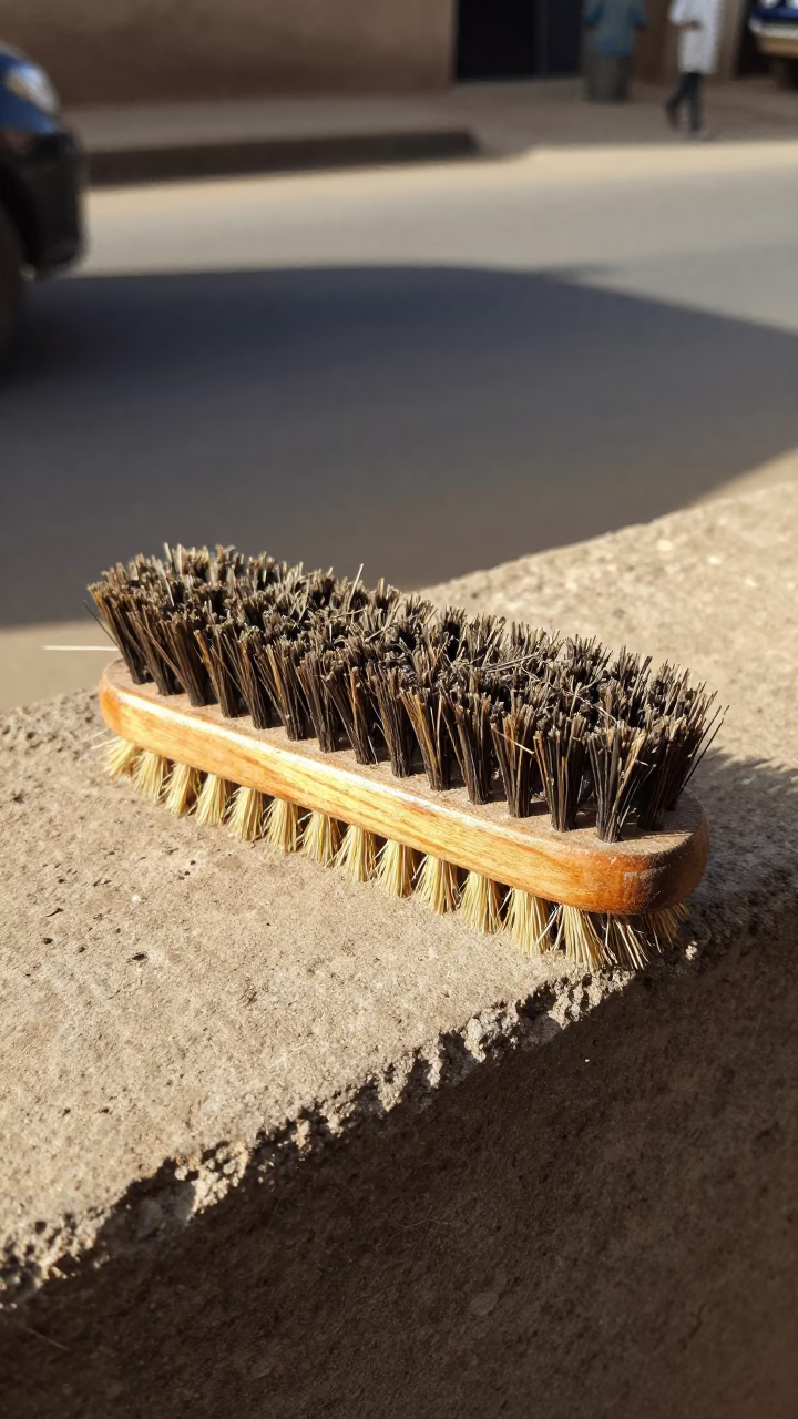 Shoe Brush in Dakar in in Dakar, Senegal