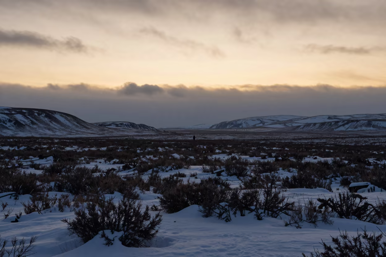 Siberian Snow Valley Silhouette at Evening in across a wide valley floor in Siberia
