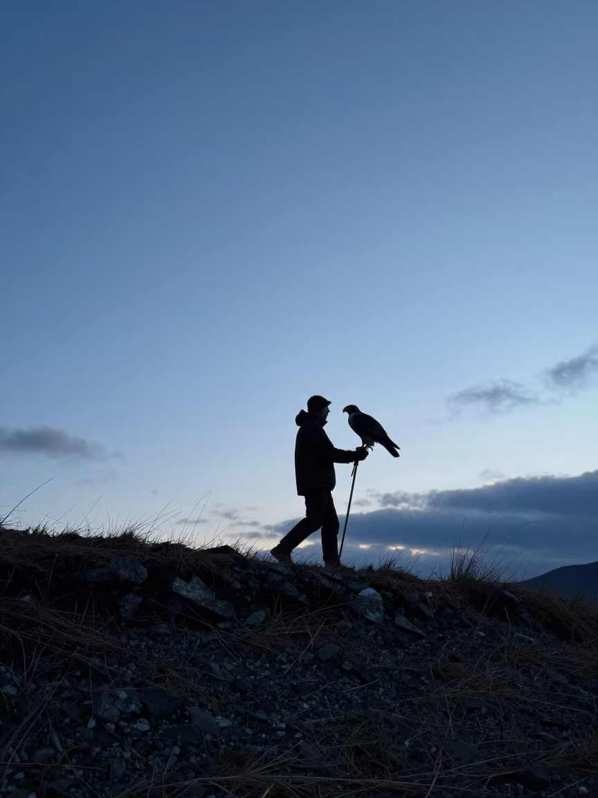 Silhouette of Falconer Hawk on Ridge in on a wind-scoured ridge near Bergen