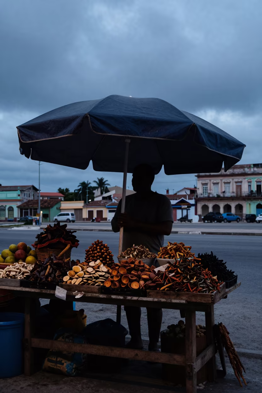 Silhouette of Havana Spice Seller Under Umbrella in at a spice vendor's table in Havana