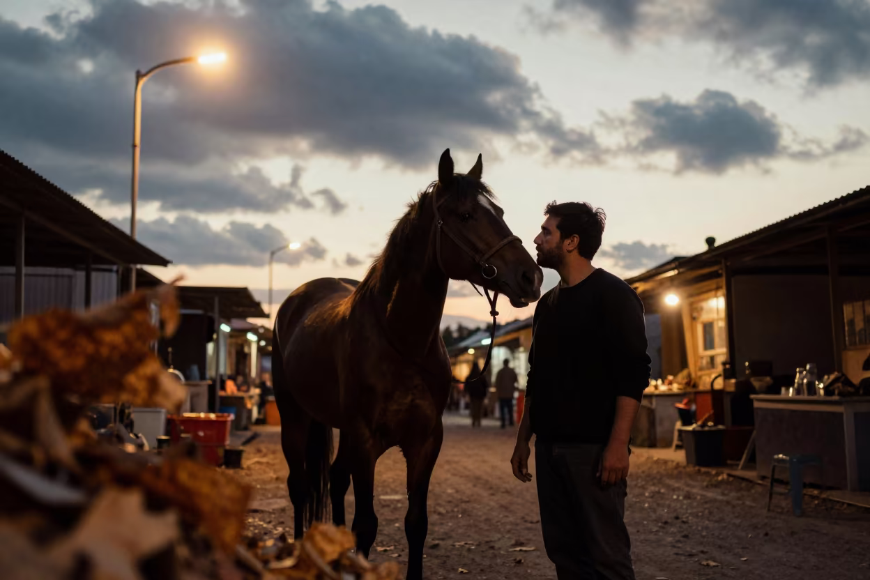 Silhouette Horse Whisperer Mare Nuzzles Cheek in along a market lane in Greater Sudbury