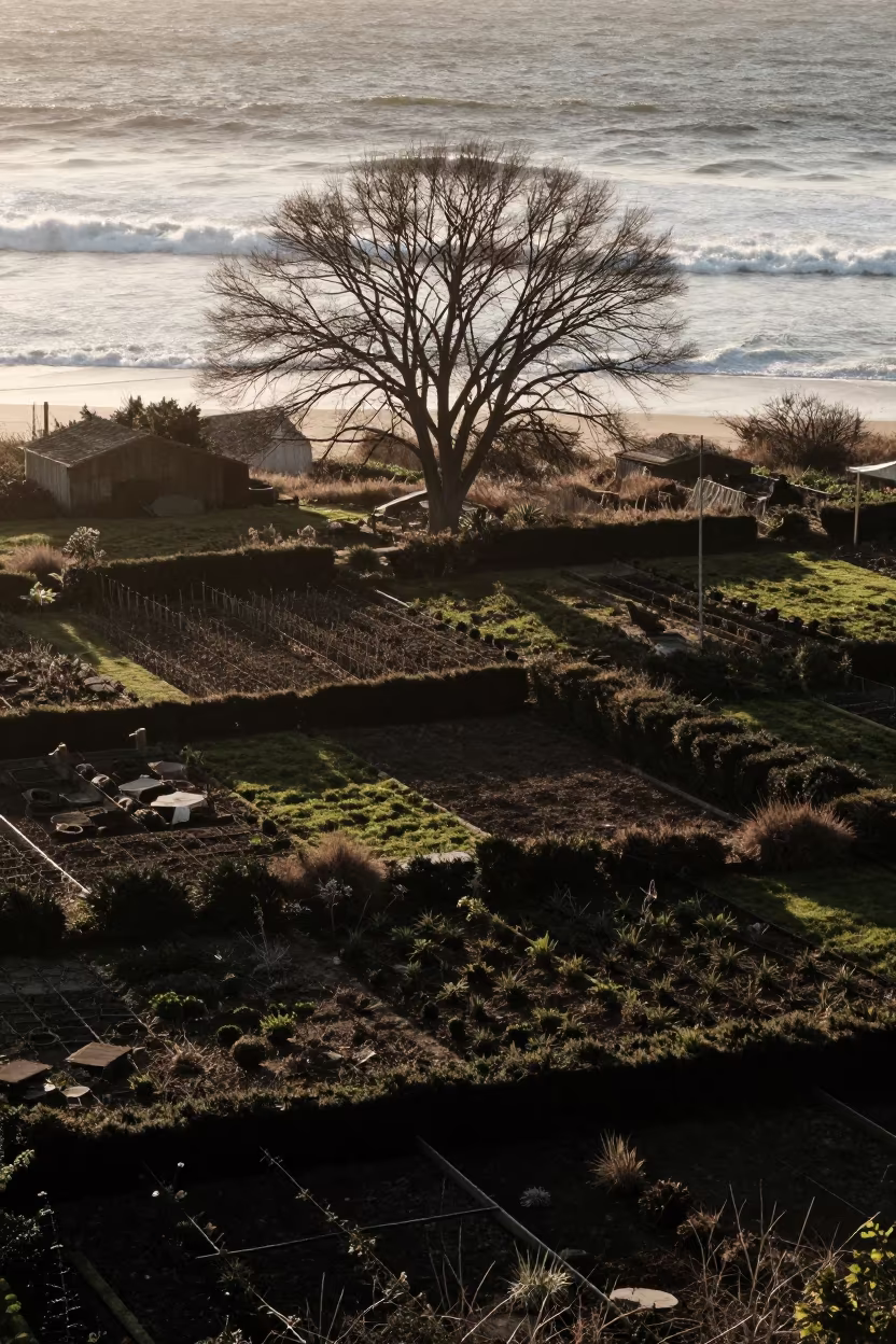 Silhouetted Allotment Gardens Winter Coast in far above surf-scalloped coastline in California