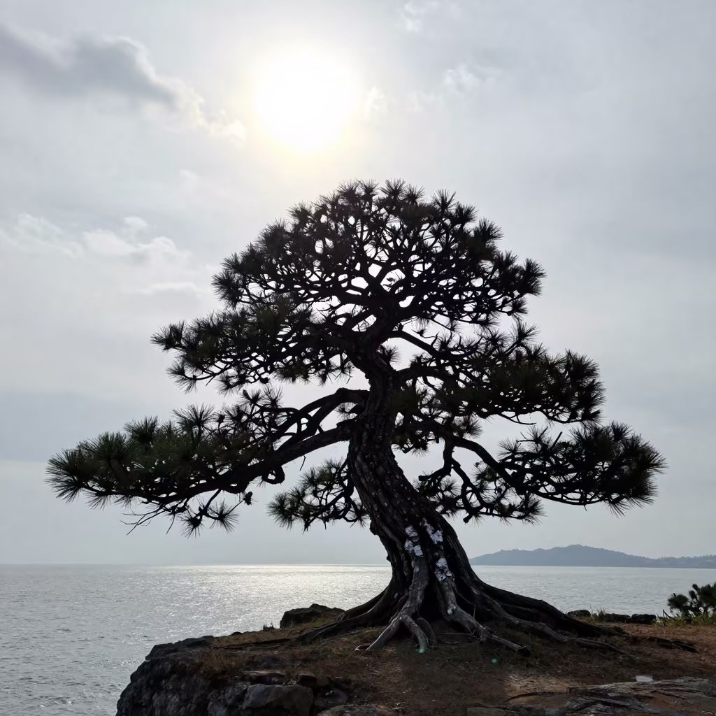 Silhouetted Bonsai Pine on Porto Montenegro Cliff in along a salt-sprayed cliff edge near Porto Montenegro