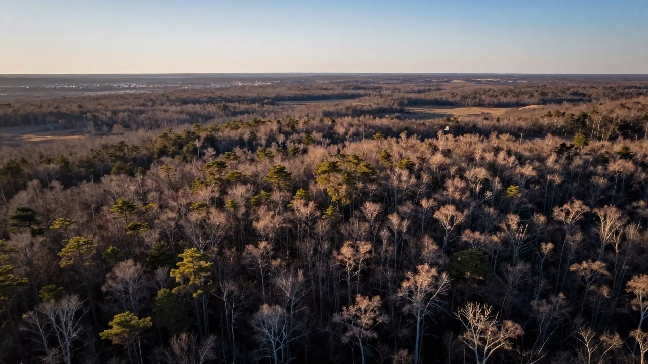 Silhouetted Boreal Forest Valley at Dusk in across a wide valley floor near Vellore