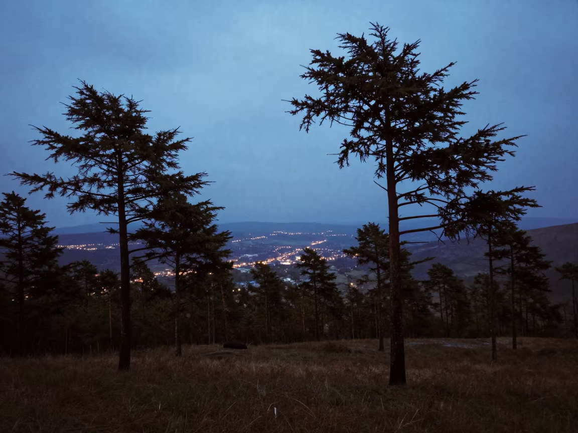 Silhouetted Boreal Taiga Forest Twilight Valley in across a wide valley floor near Perugia