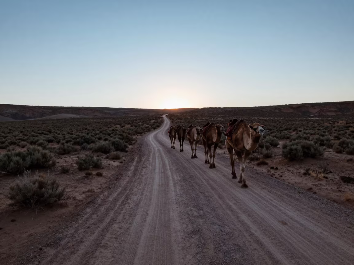 Silhouetted Camel Caravan on Utah Switchback at Dusk in along a switchback approach in Utah