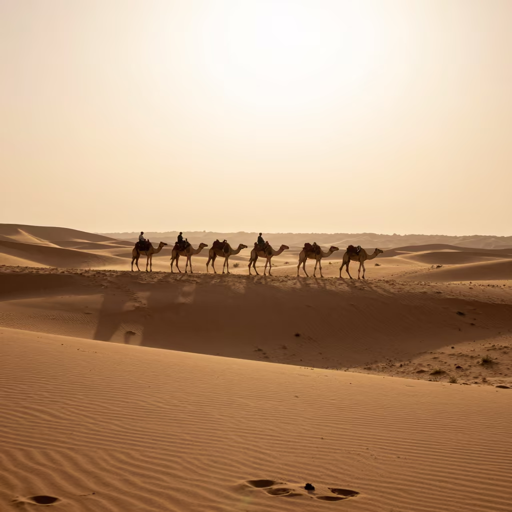 Silhouetted Camel Train on Sinai Ridge in on a wind-scoured ridge in Sinai
