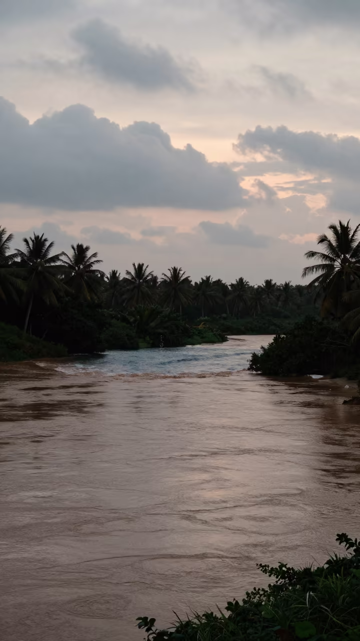 Silhouetted Estuary Where Brown River Meets Blue Ocean in across a floodplain after rain in Kerala