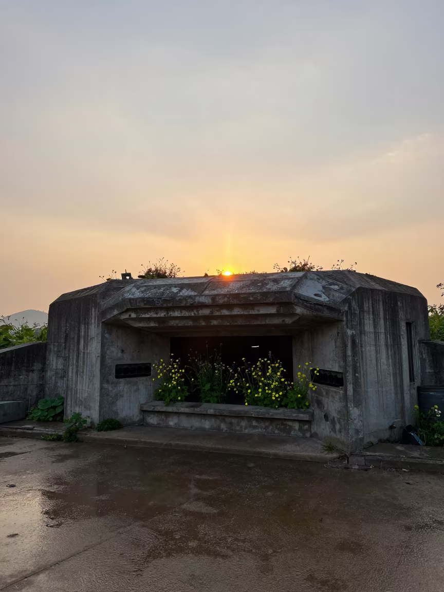 Silhouetted Gun Emplacement With Wildflowers at Daejeon in near Daejeon