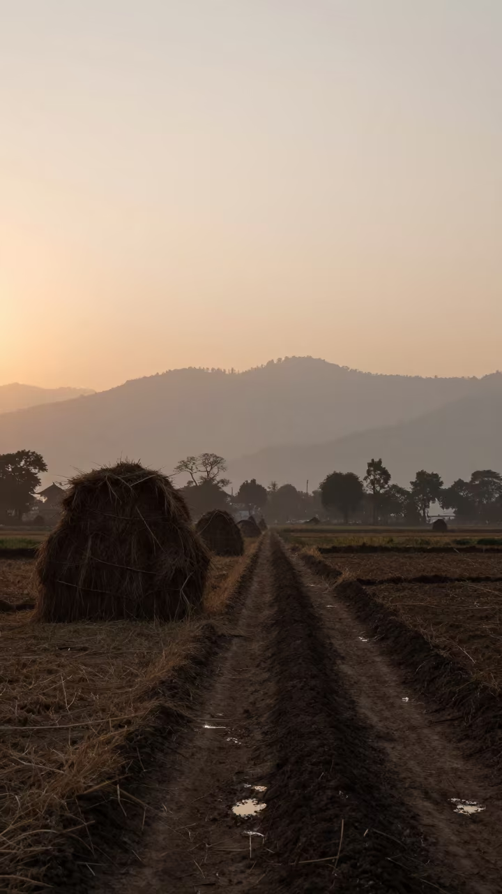 Silhouetted Hop Line Over Hazy Valley at Sunset in beside stacked hay bales near Swayambhu, Kathmandu